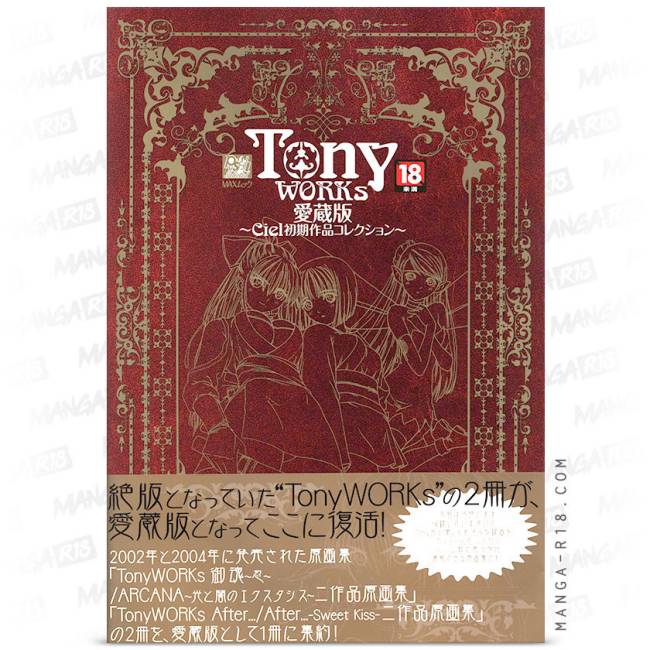 https://mangar18.com/6173-large_default/tony-works-favorite-book-.jpg