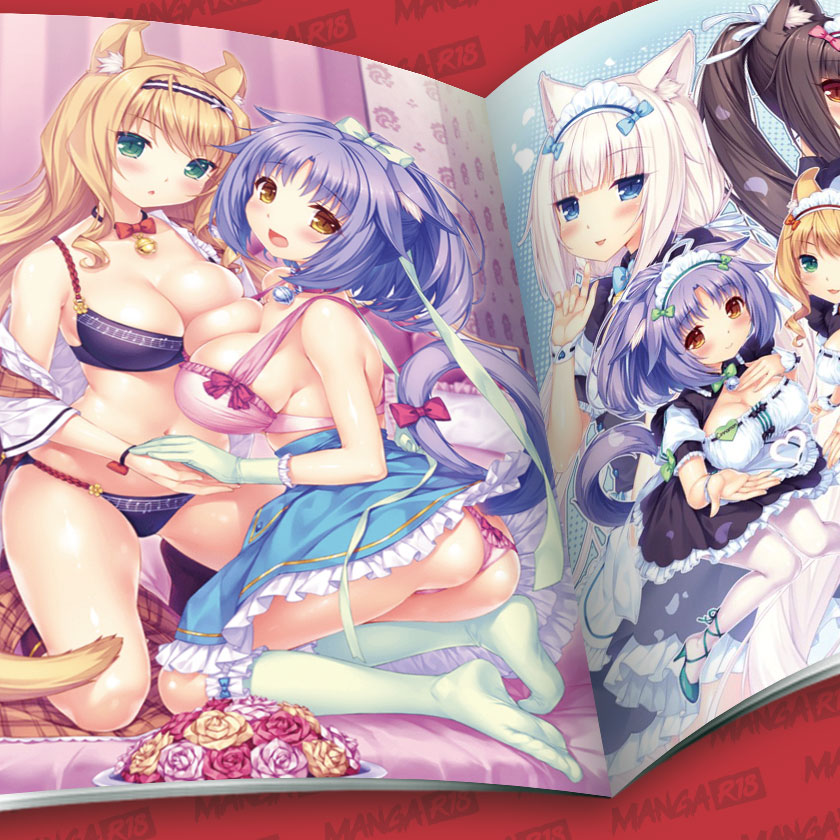 Nekopara Artworks Vol 3 catgirl maid bikini lingerie nekopara