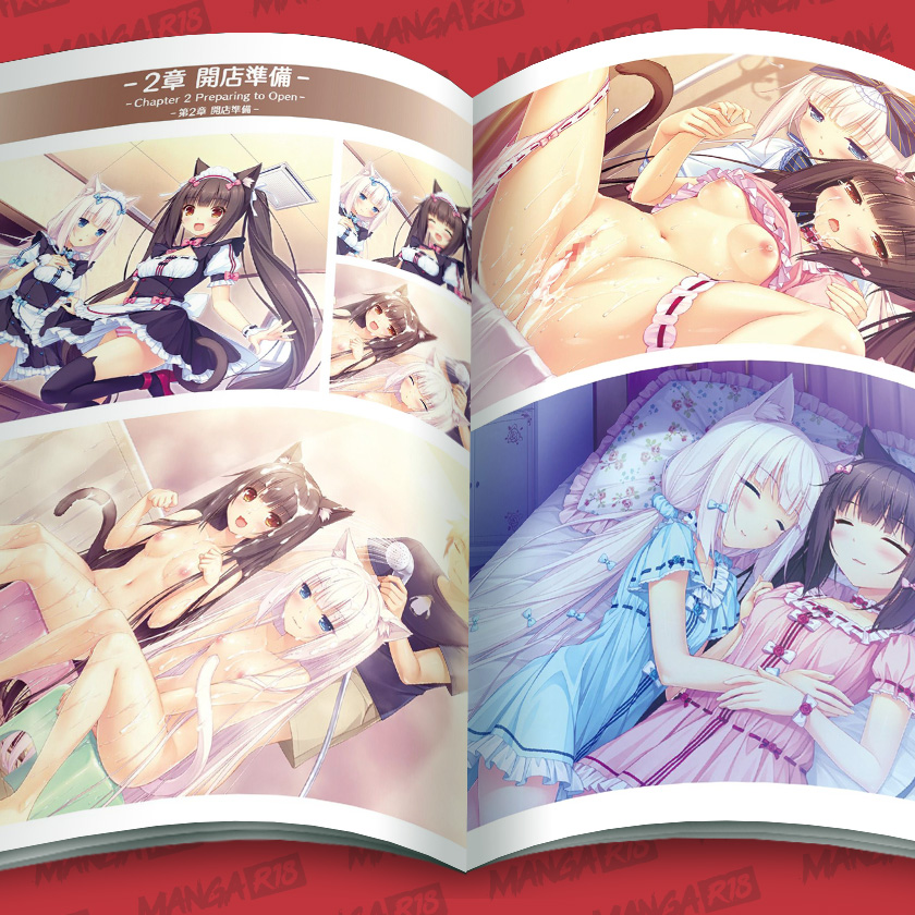 Nekopara Artworks Vol.1 by Sayori... artbook nekomimi full color collectible kemonomimi